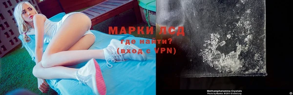 прущие грибы Чекалин