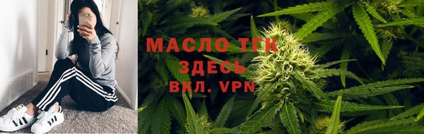 прущие грибы Чекалин
