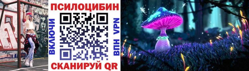 закладки  Октябрьск  Галлюциногенные грибы GOLDEN TEACHER 